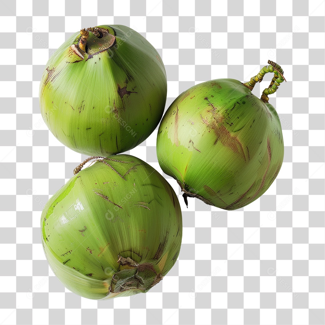 Fruta Coco PNG Transparente