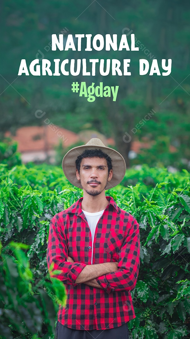 Agricultor trabalhando no campo de café ao pôr do sol