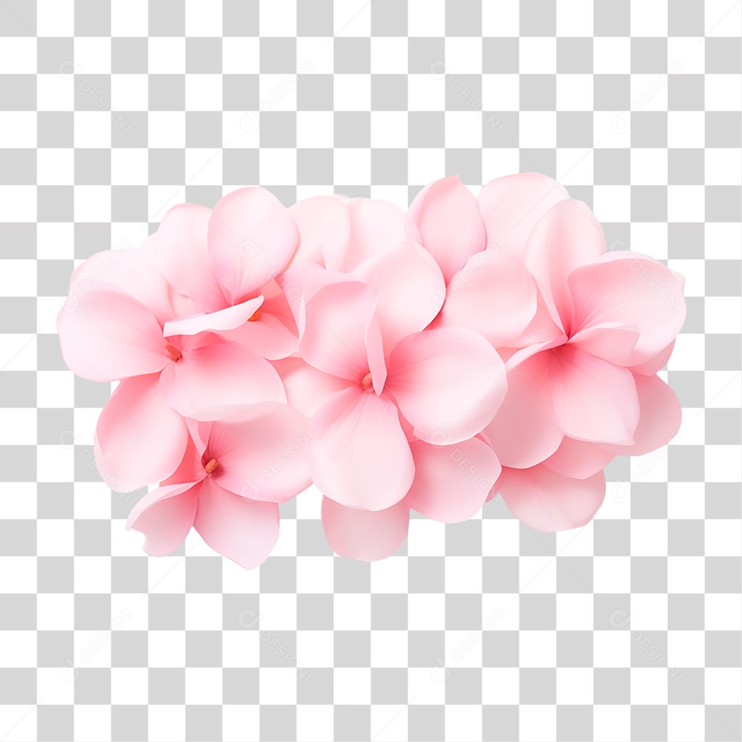 Flores Rosas PNG Transparente