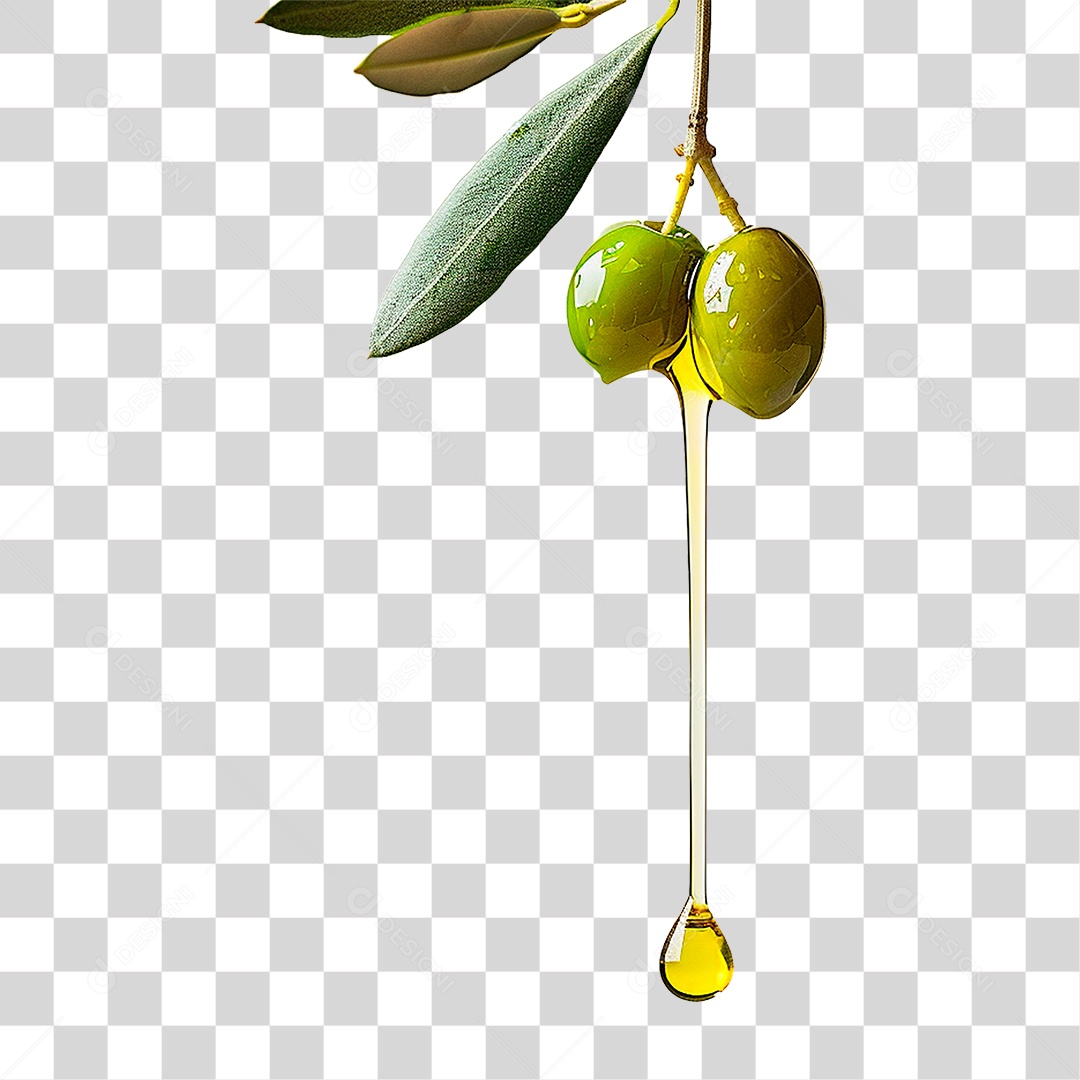 Galho com Azeitonas PNG Transparente