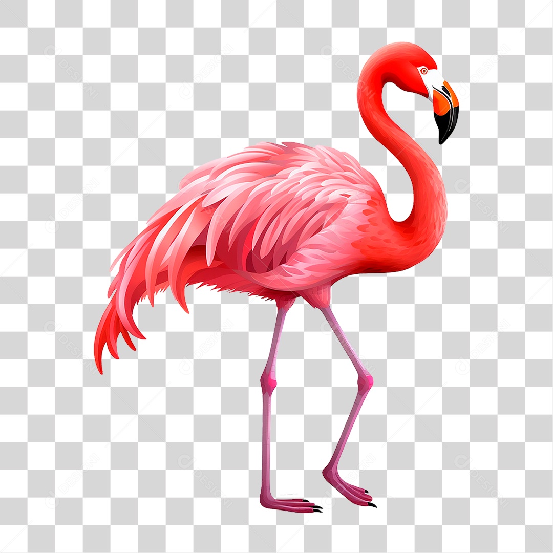 Flamingo PNG Transparente