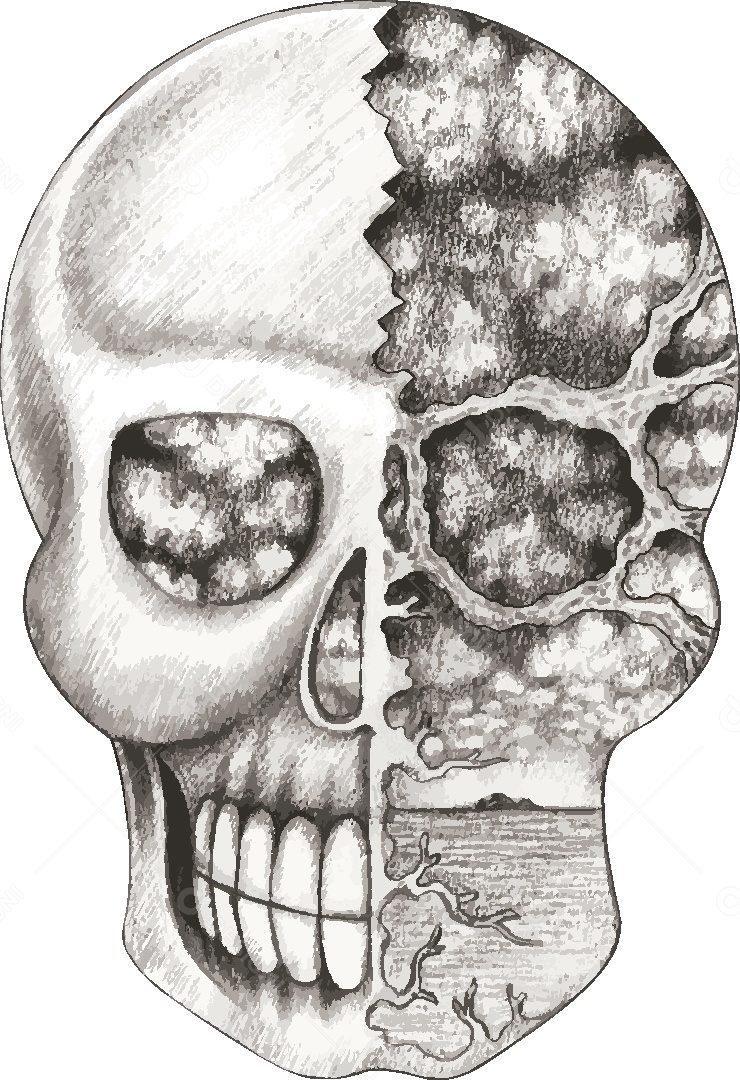 Estampa de Caveira Ilustração Vetor EPS