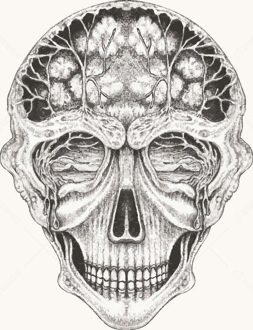 Estampa de Caveira Desenho Vetor EPS