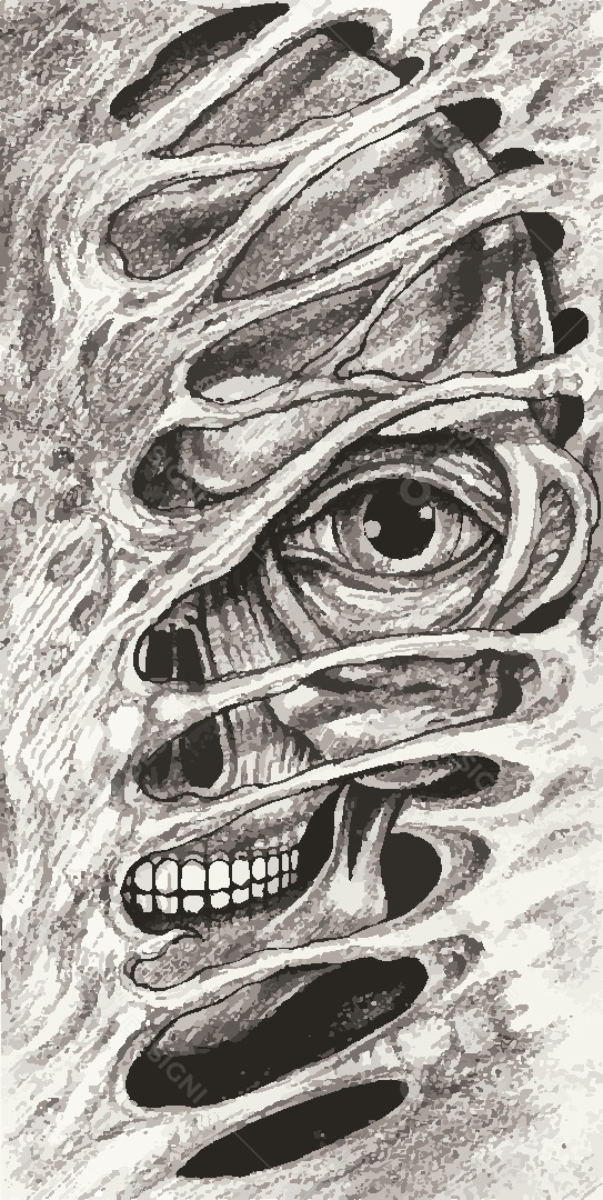 Estampa de Caveira Desenho Vetor EPS