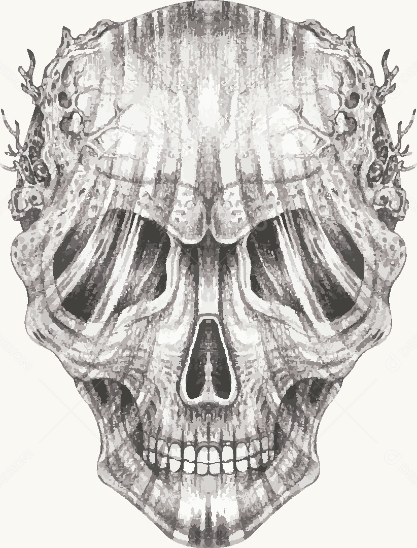 Estampa de Caveira Desenho Vetor EPS