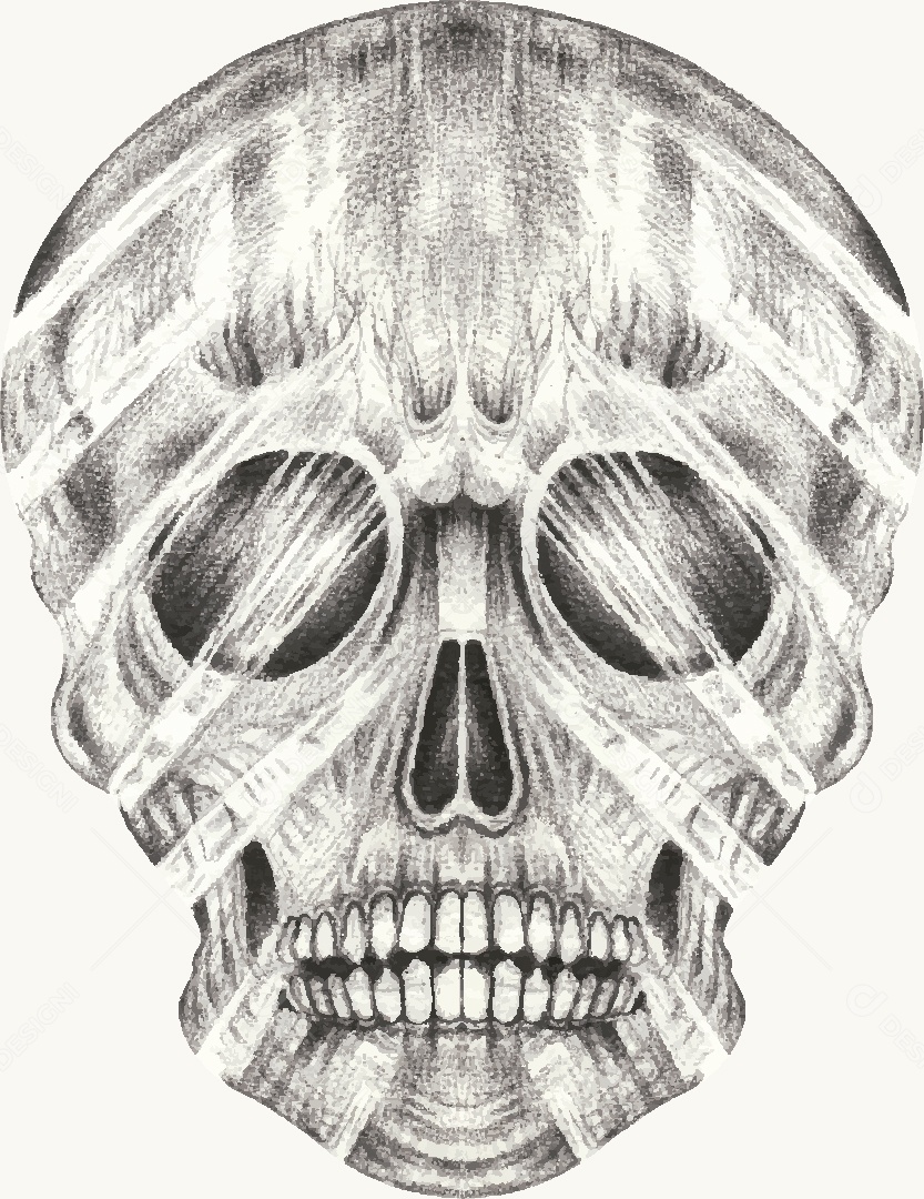 Estampa de Caveira Desenho Vetor EPS