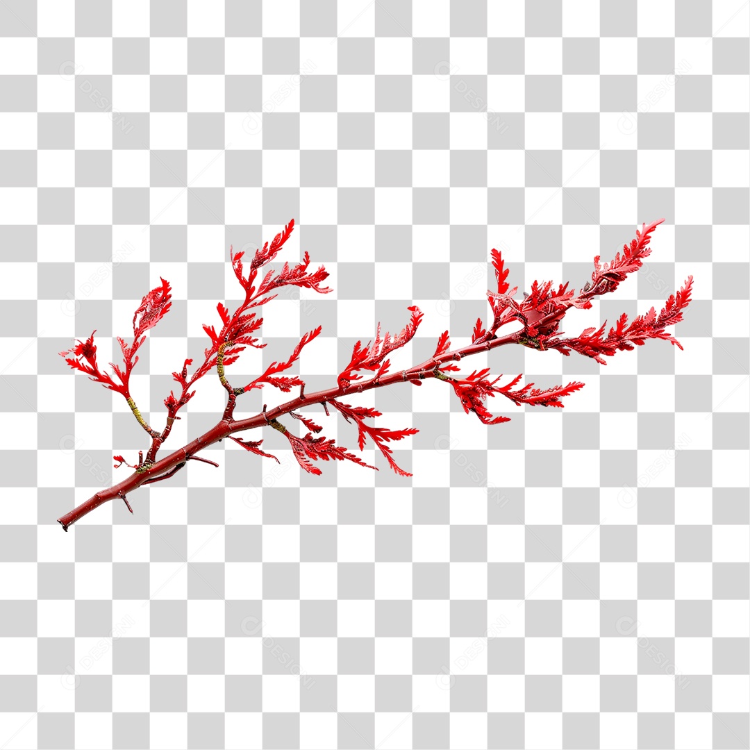 Ramo com Folhas Vermelha PNG Transparente