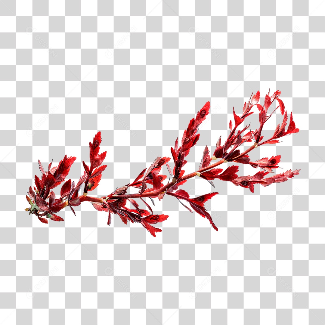 Ramo com Folhas Vermelha PNG Transparente