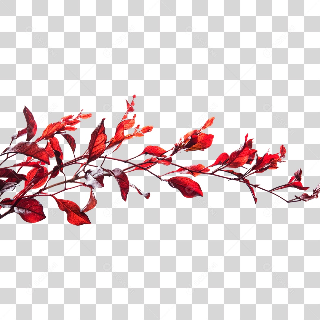 Ramo com Folhas Vermelha PNG Transparente
