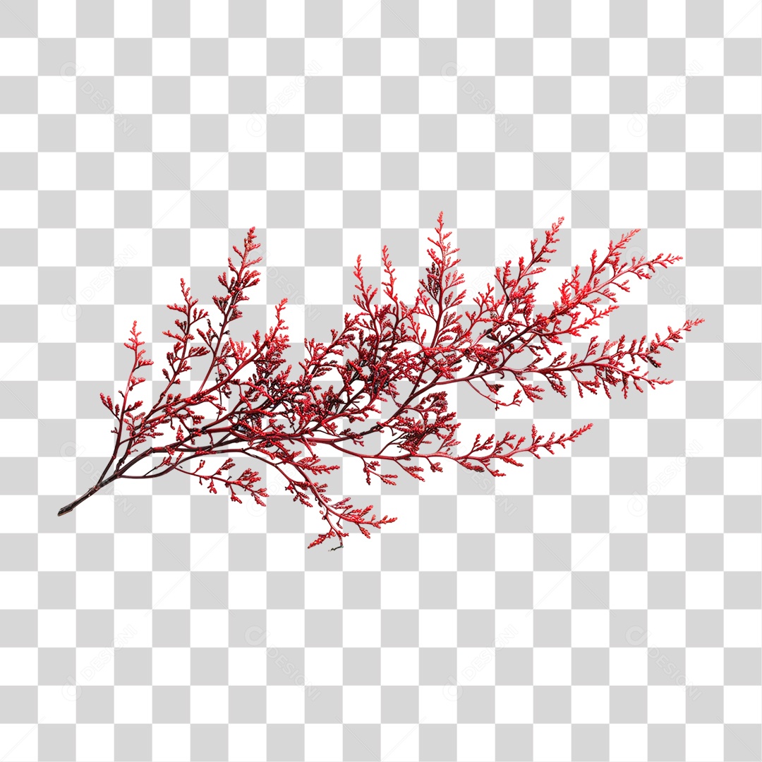 Ramo com Folhas Vermelha PNG Transparente