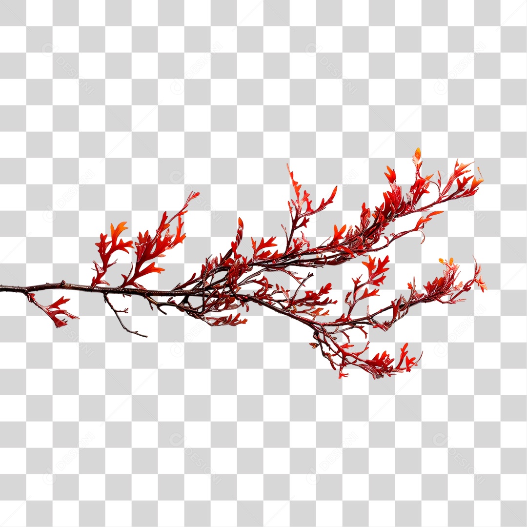 Ramo com Folhas Vermelha PNG Transparente