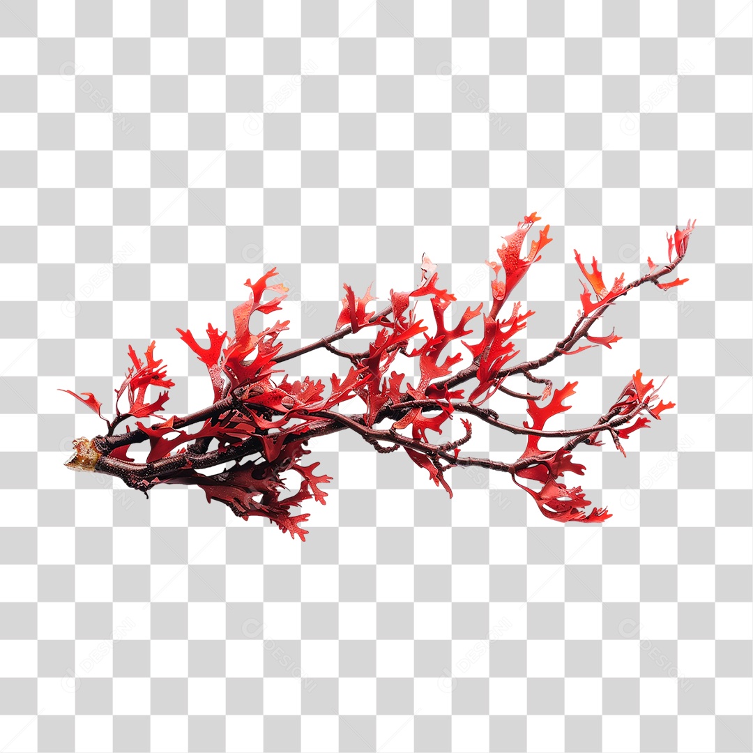 Ramo com Folhas Vermelha PNG Transparente