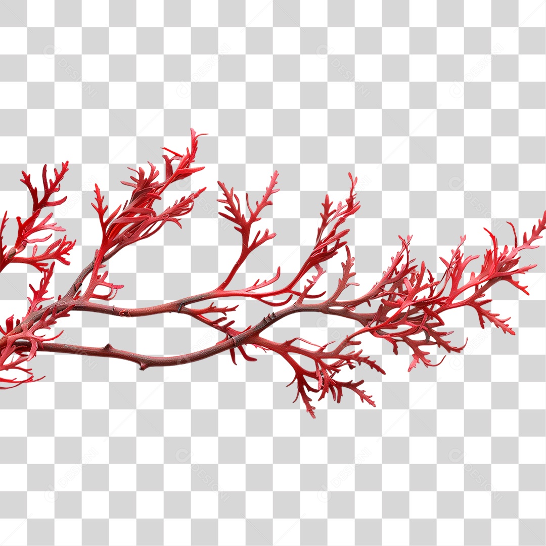 Ramo com Folhas Vermelha PNG Transparente