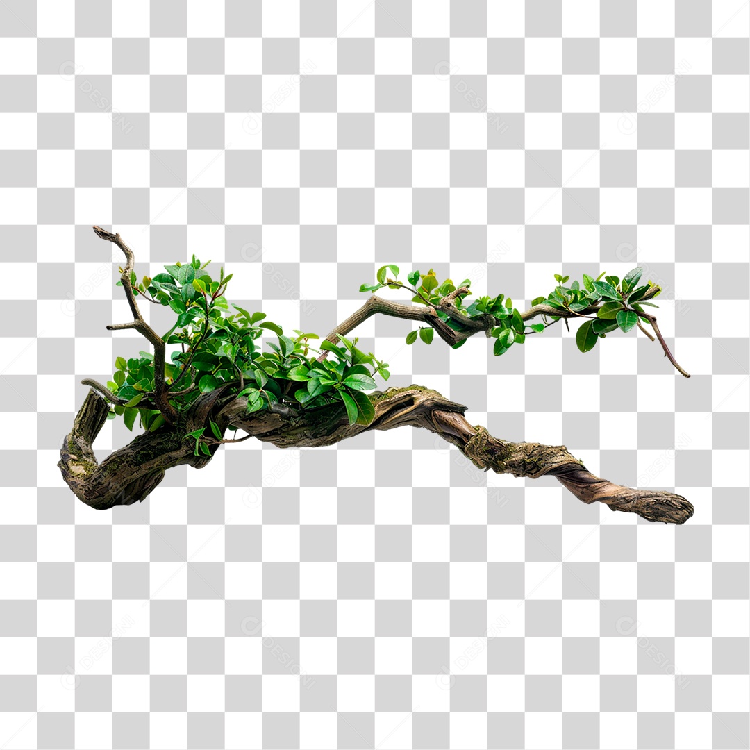 Branch with Transparent PNG Foliage