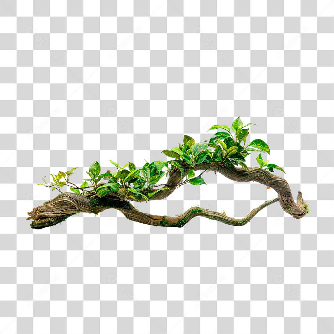 Branch with Transparent PNG Foliage