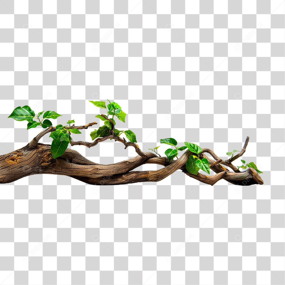 Branch with Transparent PNG Foliage