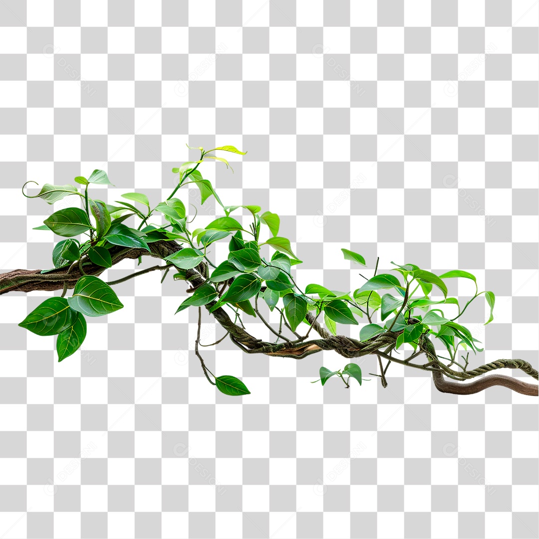 Branch with Transparent PNG Foliage