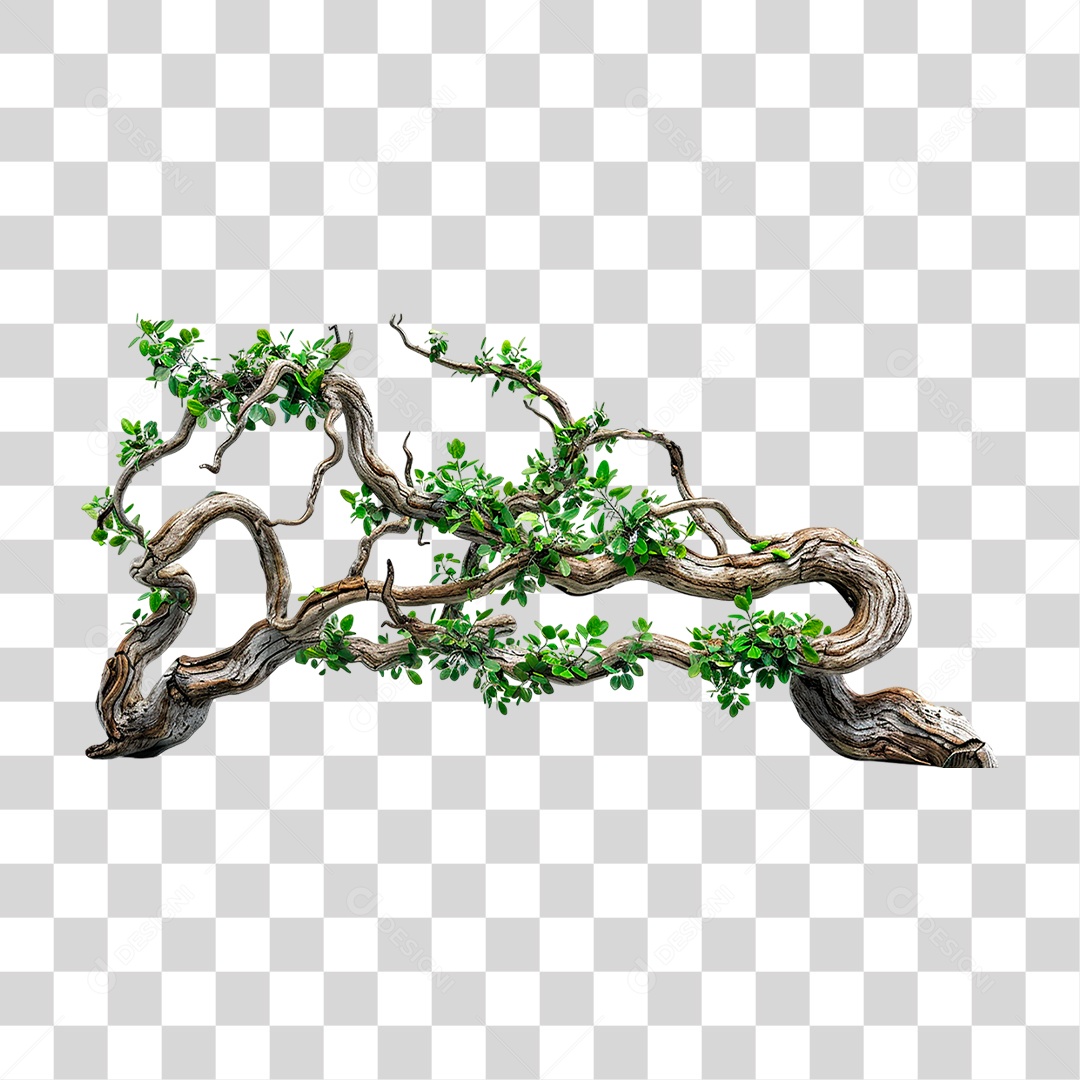 Branch with Transparent PNG Foliage