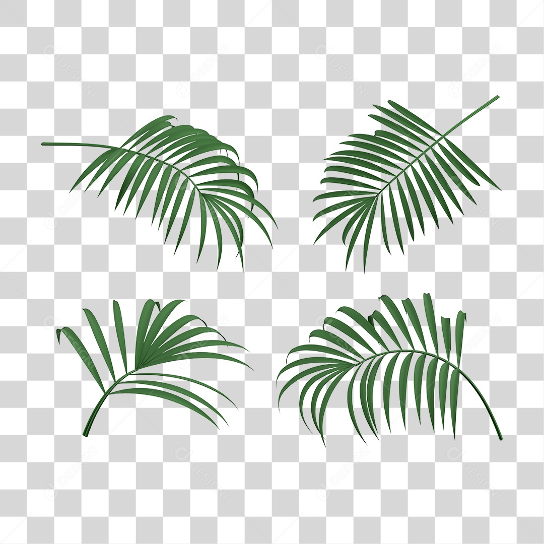 Folhas de Palmeira para Composição