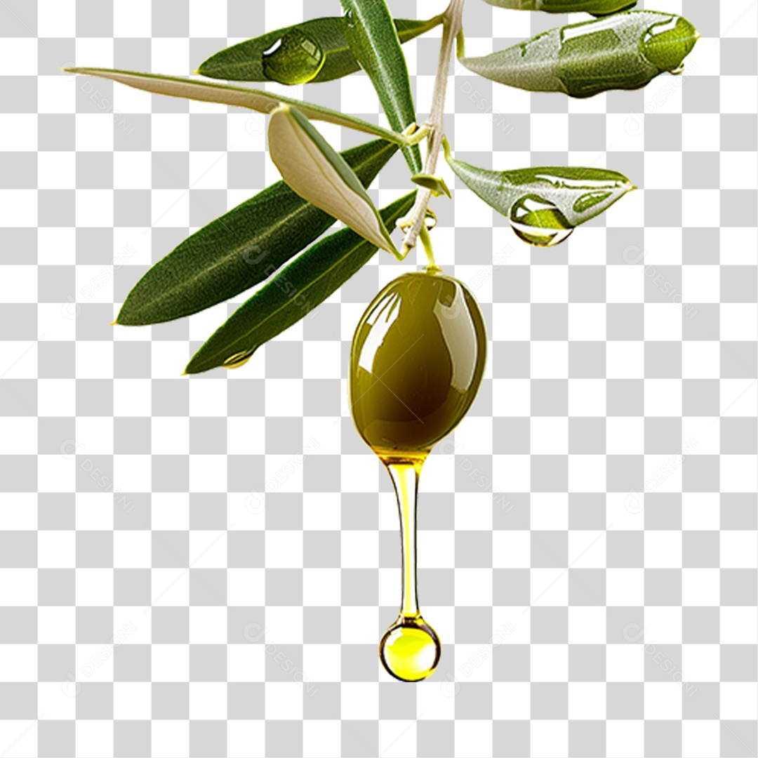 Azeite de Oliva PNG Transparente