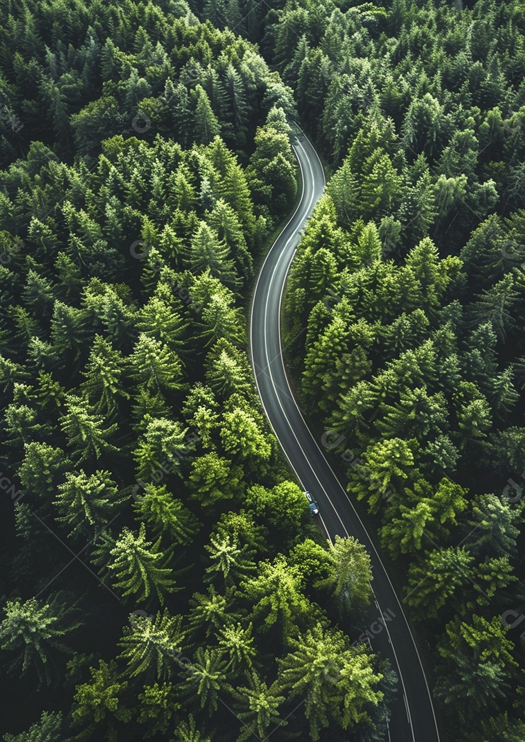 Vista aérea do carro viaja pela estrada tranquila da floresta