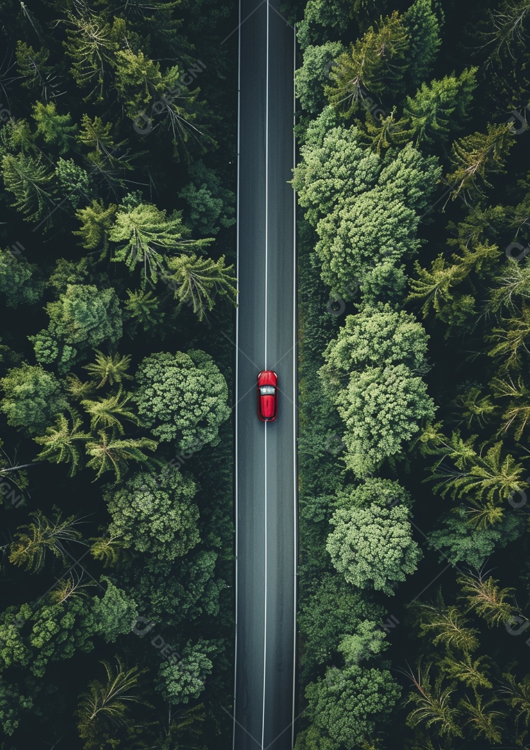 Vista aérea do carro viaja pela estrada tranquila da floresta