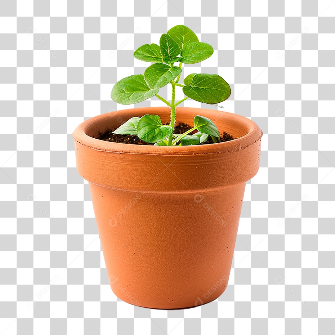 Flor em Vaso PNG Transparente