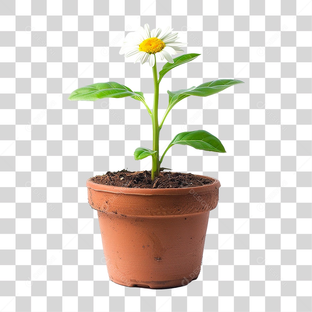 Flor em Vaso PNG Transparente