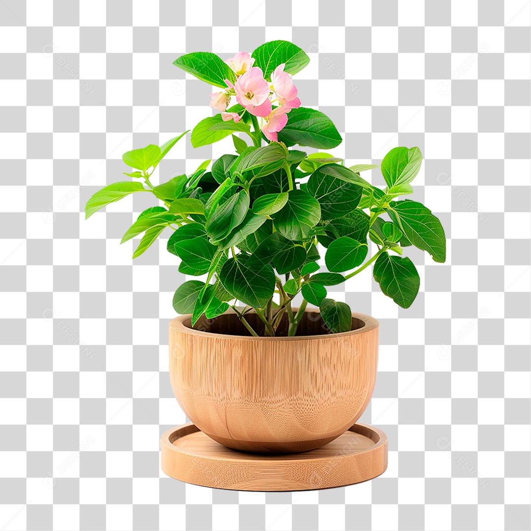 Vazo de Planta PNG Transparente
