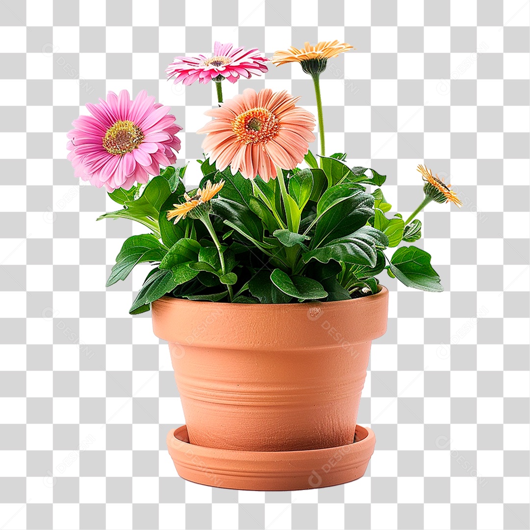 Vazo de Planta PNG Transparente
