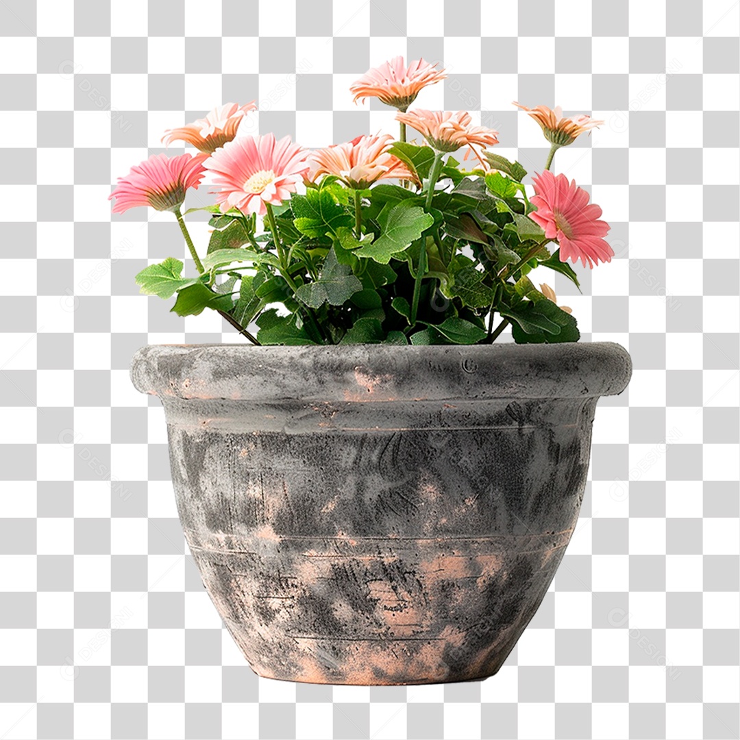 Vazo de Planta PNG Transparente