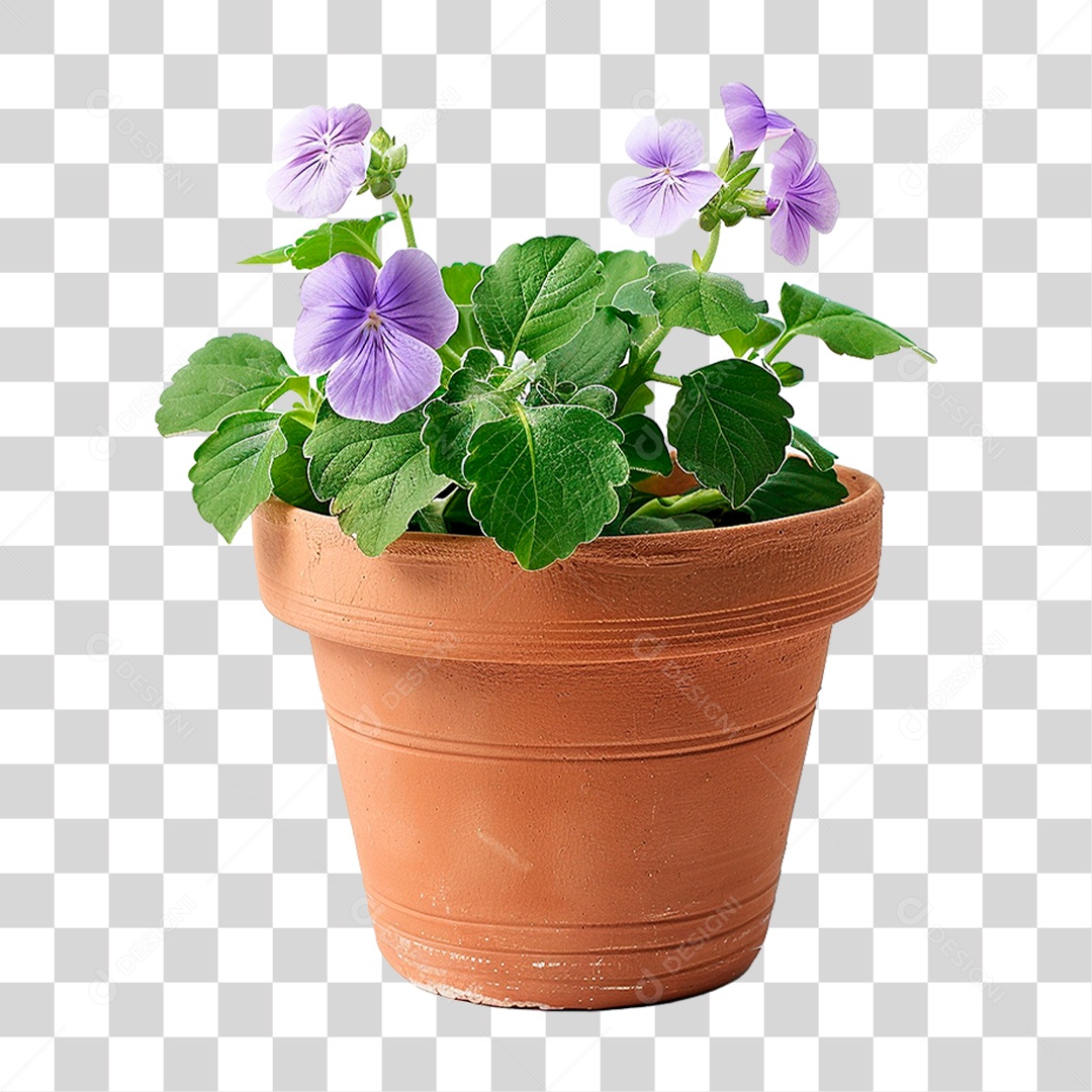 Vazo de Planta PNG Transparente