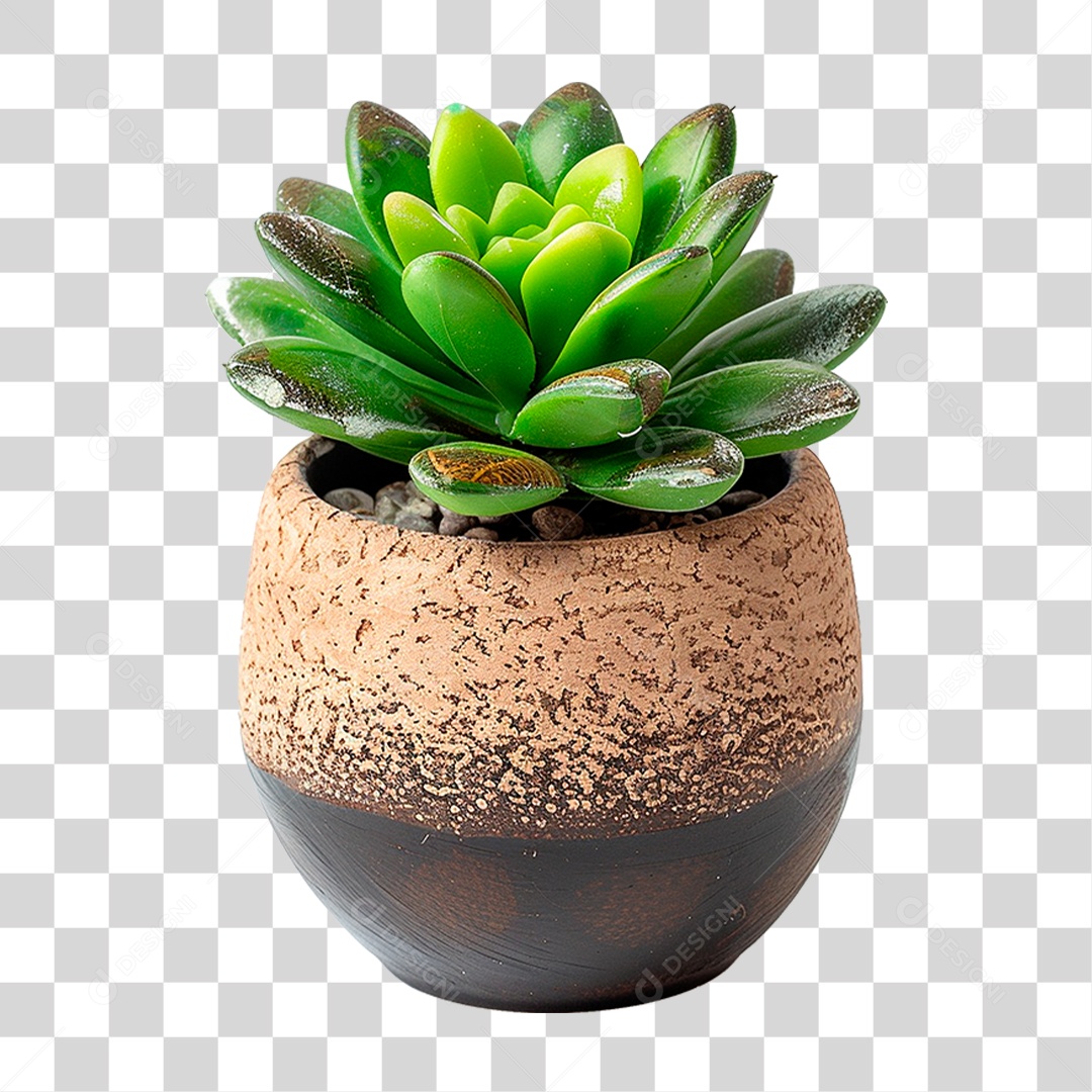 Vazo de Planta PNG Transparente