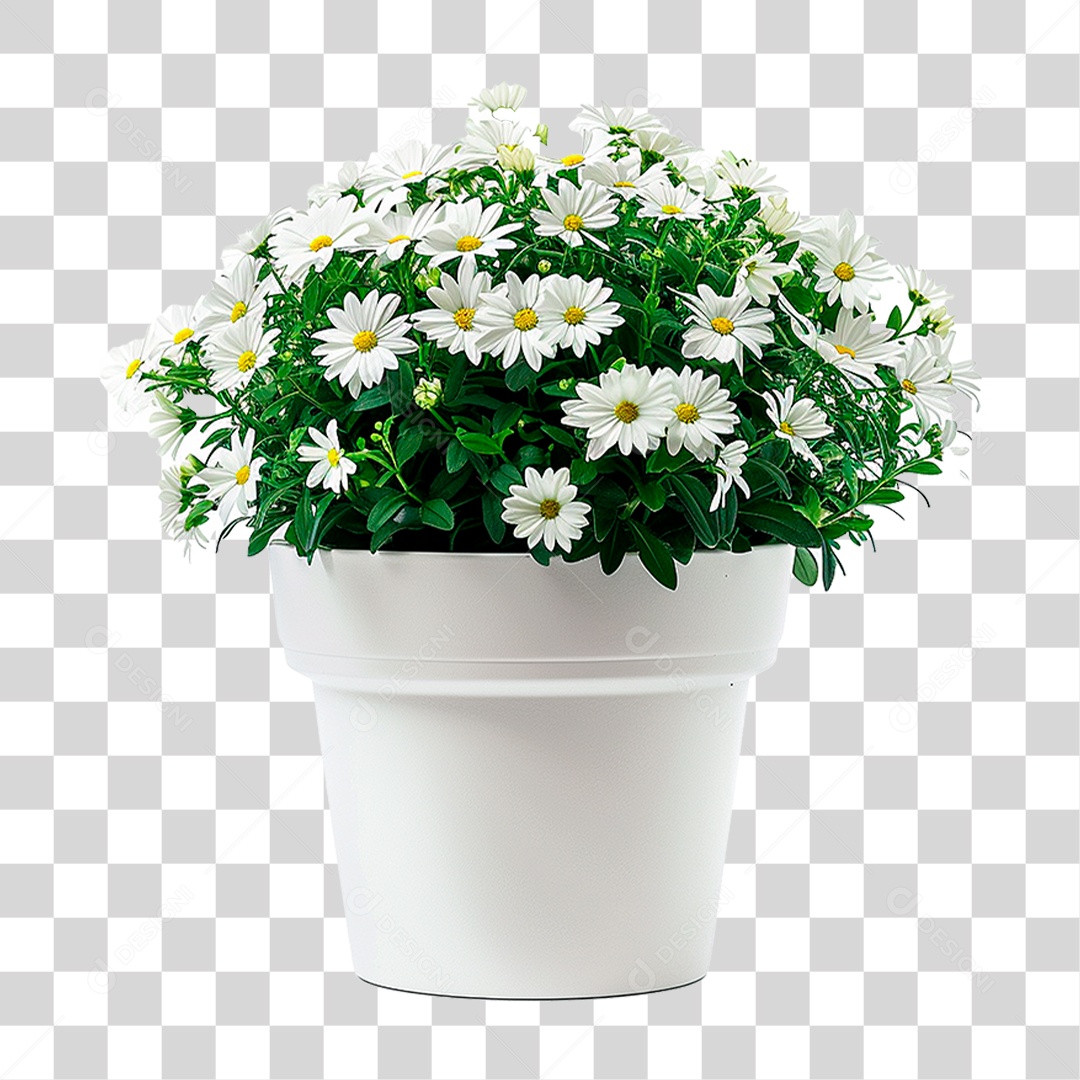 Vazo de Planta PNG Transparente