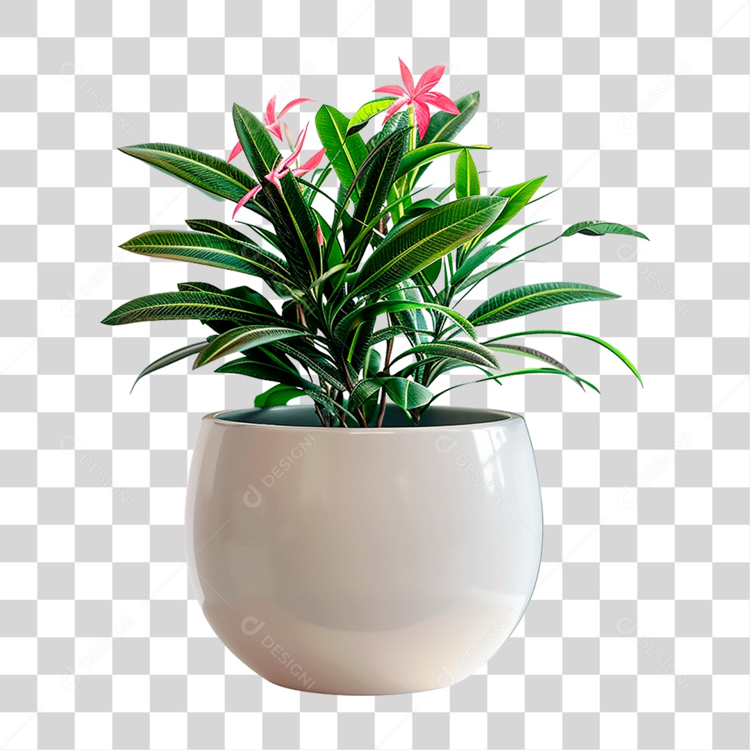 Vazo de Planta PNG Transparente