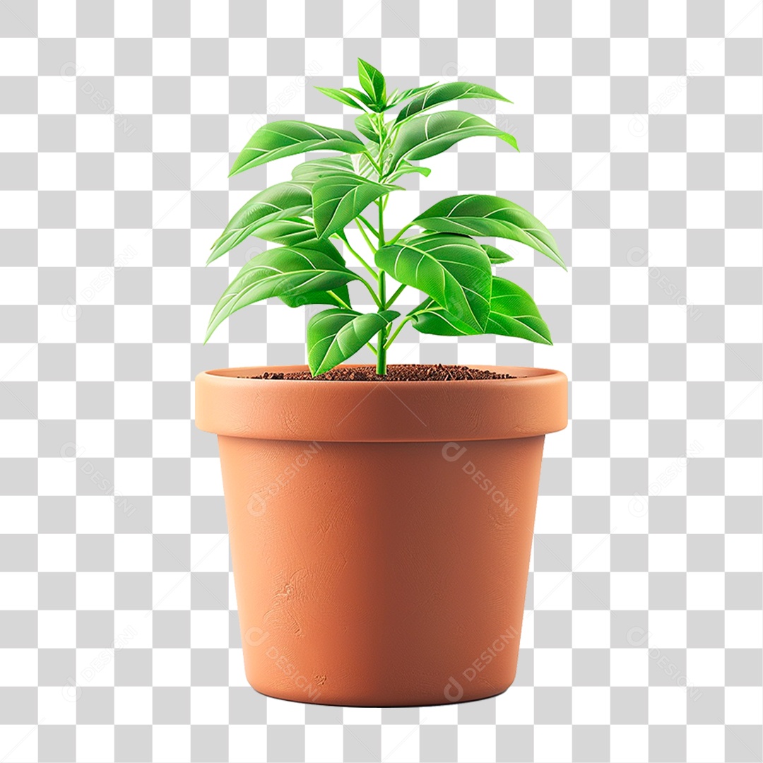 Vazo de Planta PNG Transparente
