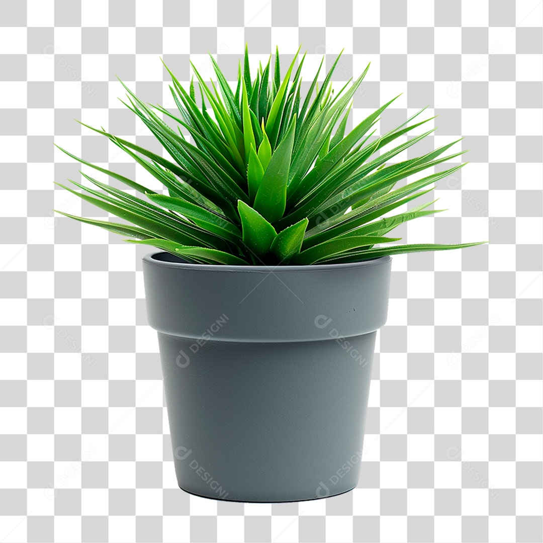 Vazo de Planta PNG Transparente