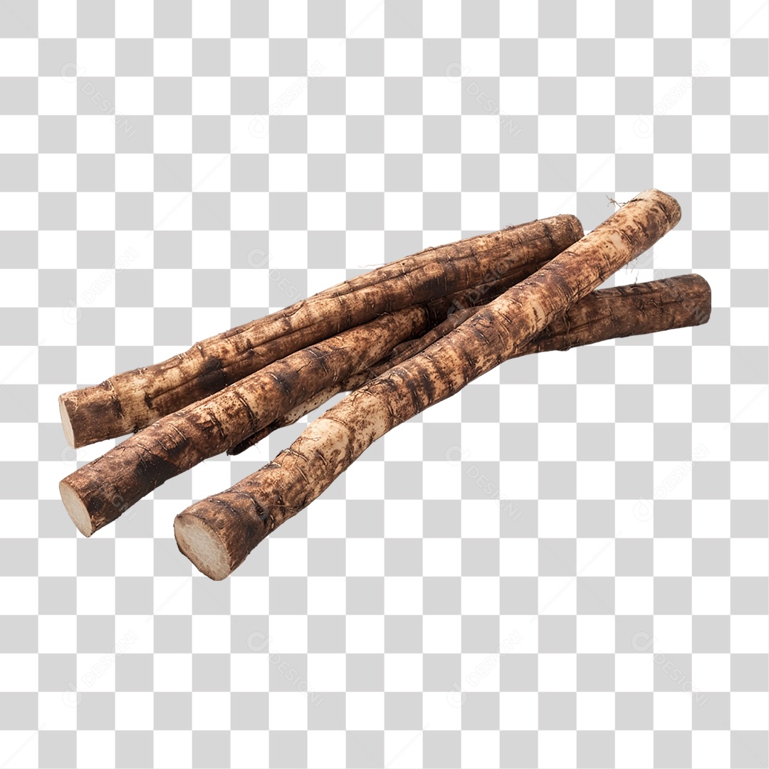 Raízes de Bardana PNG Transparente