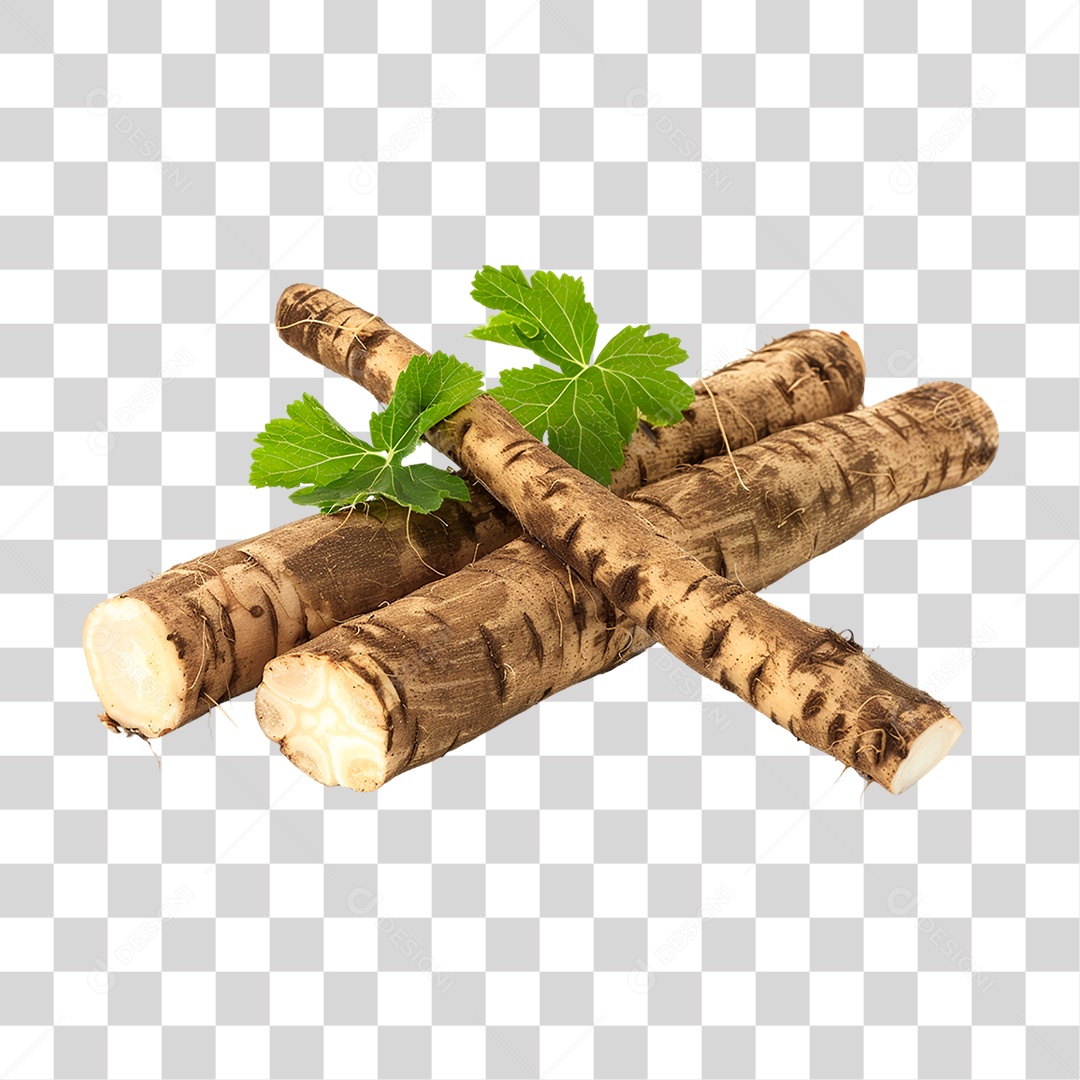 Raízes de Bardana PNG Transparente