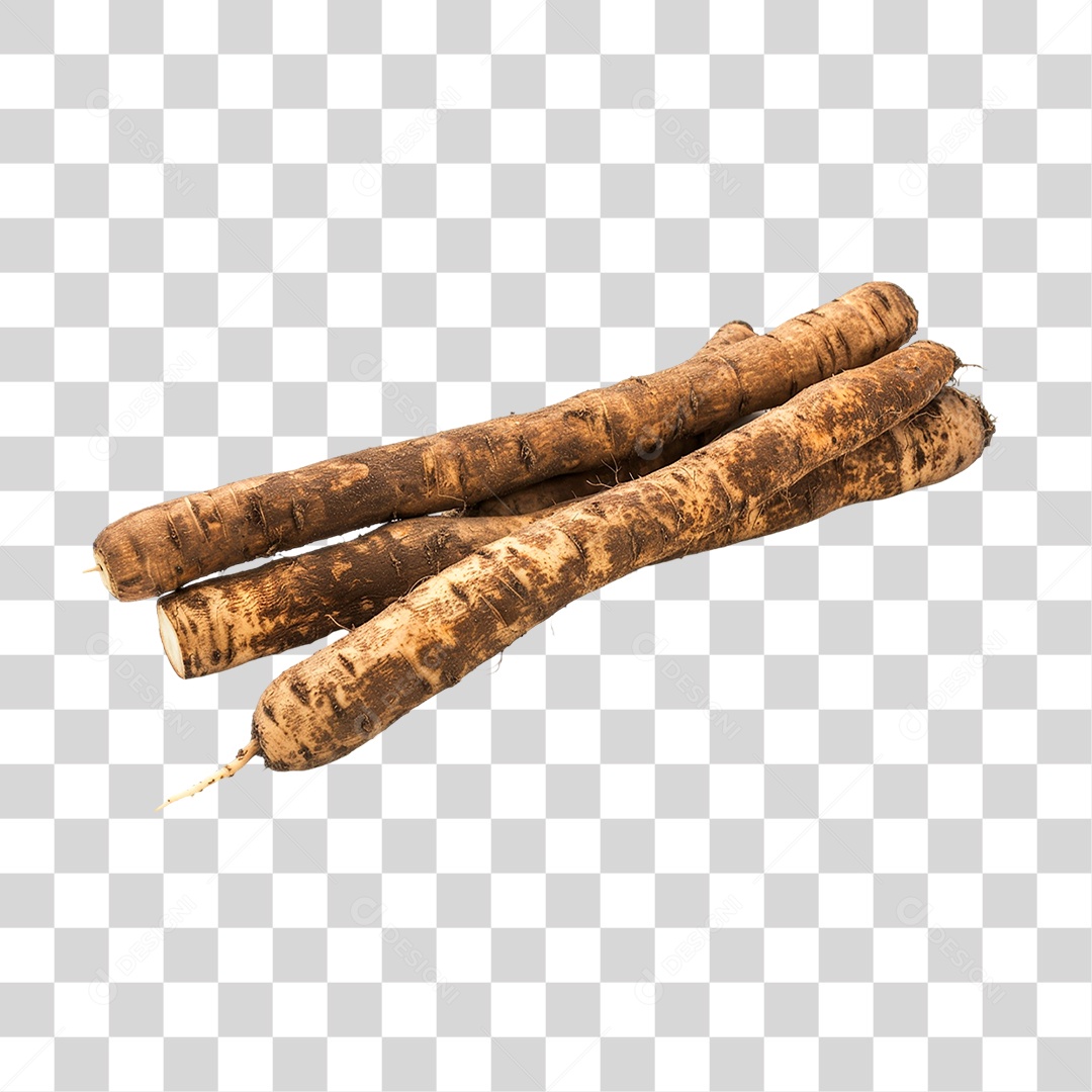 Raízes de Bardana PNG Transparente