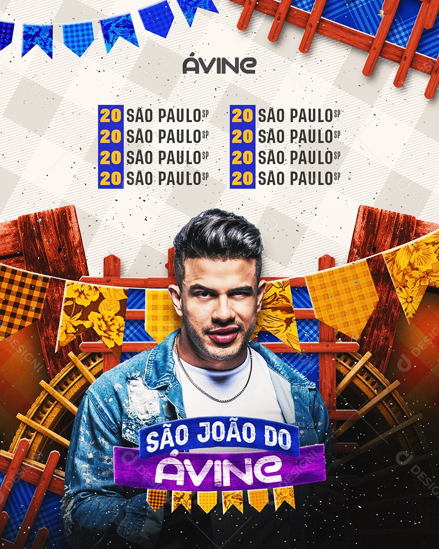 Flyer São João Ávine Show Social Media PSD Editável
