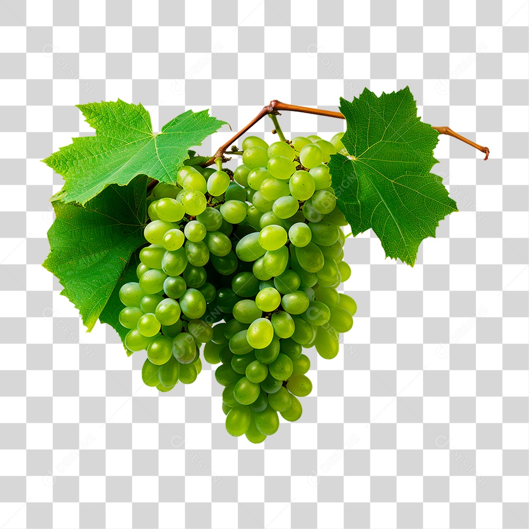 Uva Verde PNG Transparente