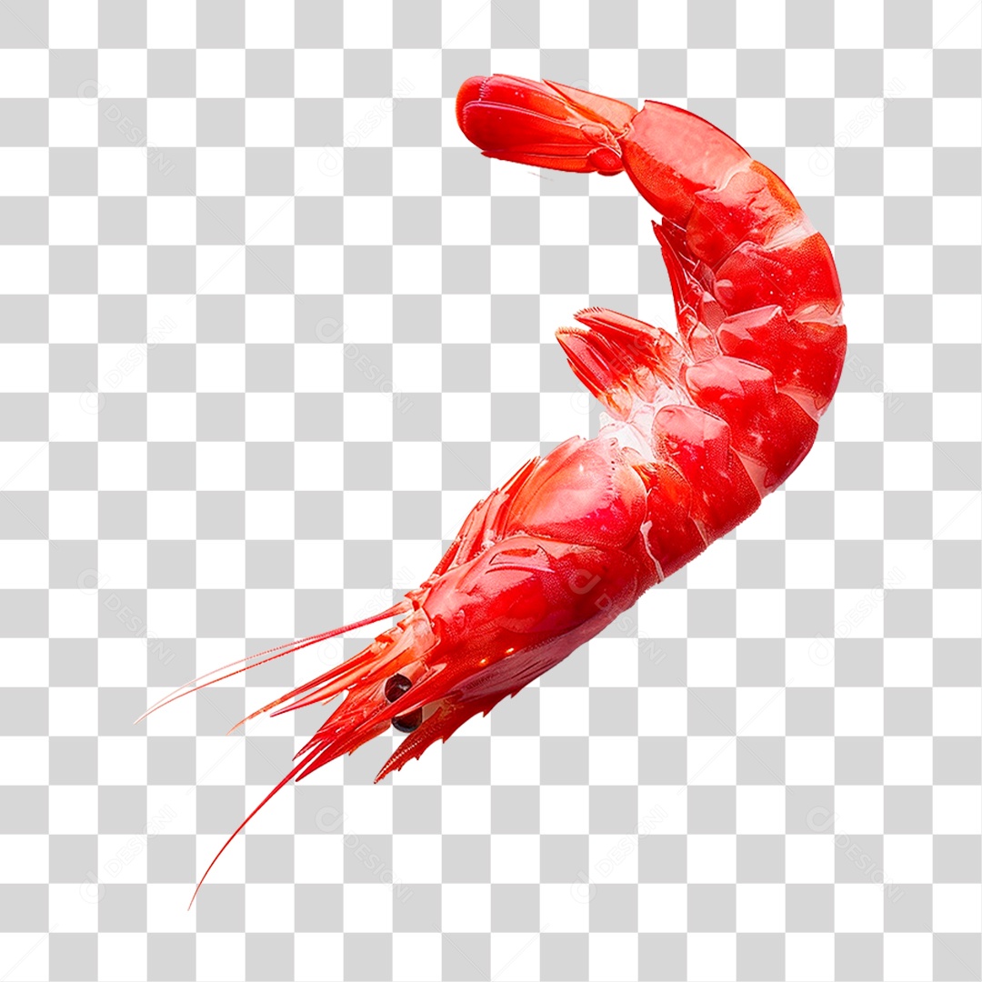 Camarão PNG Transparente