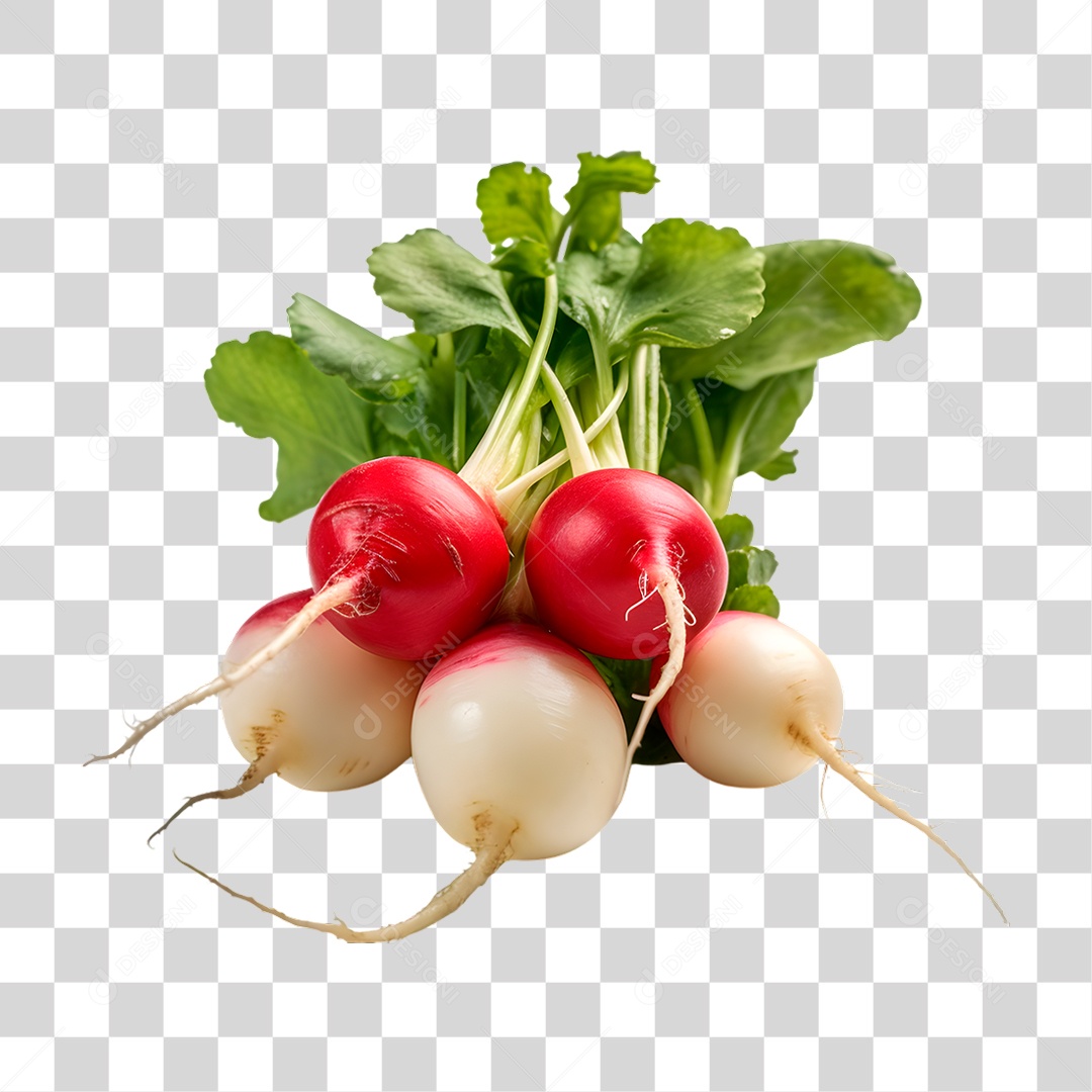 Rabanete PNG Transparente