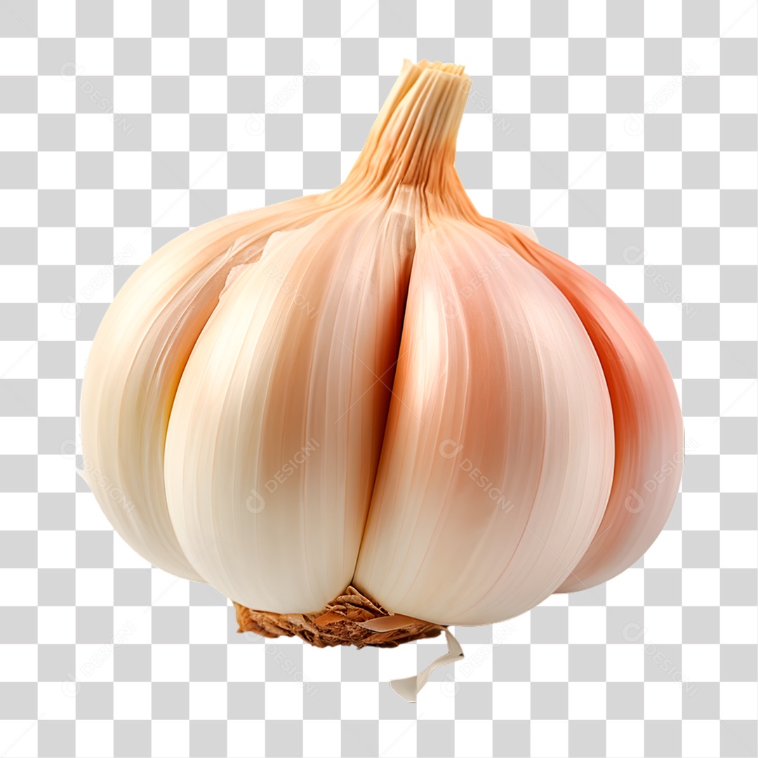 Alho PNG Transparente