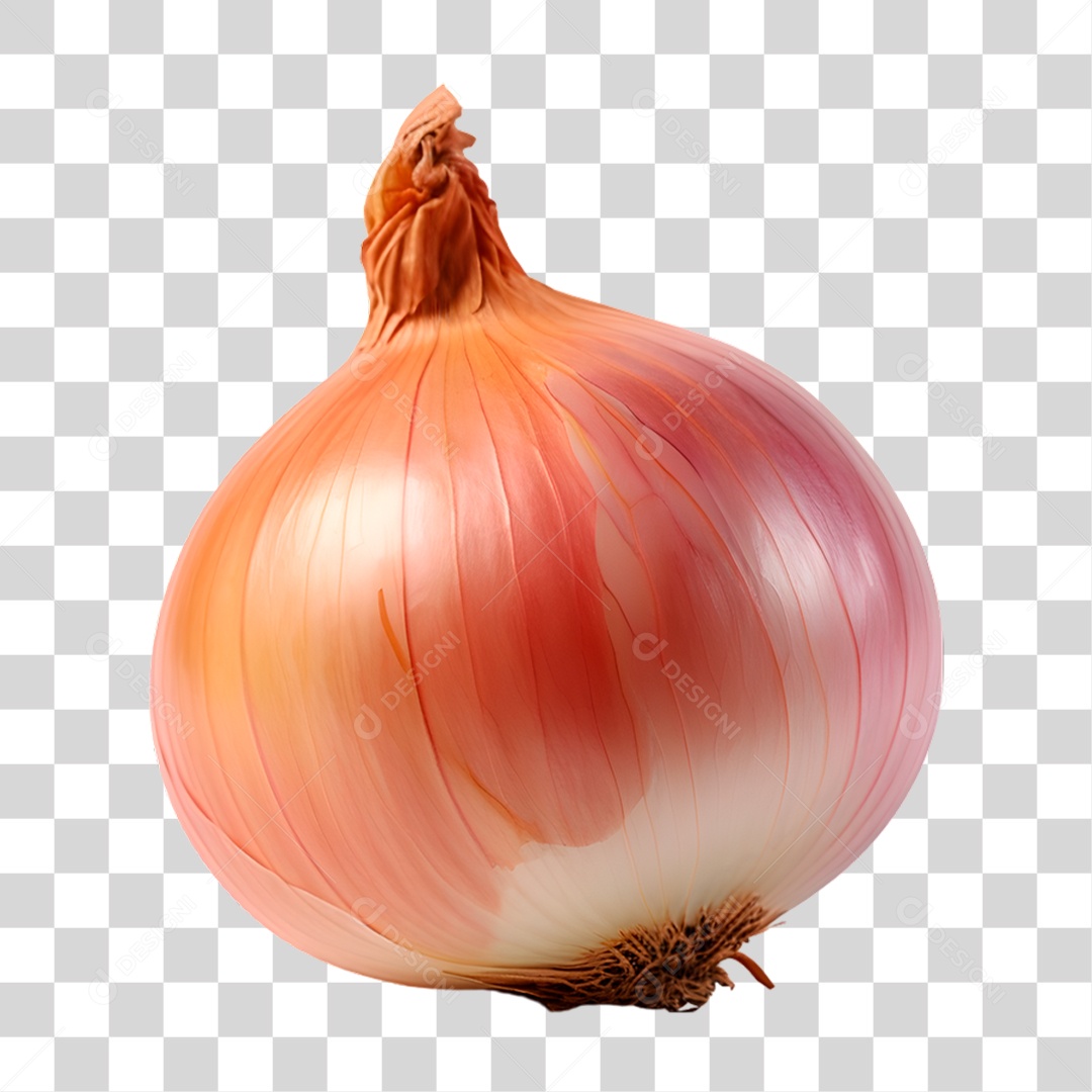 Cebola PNG Transparente