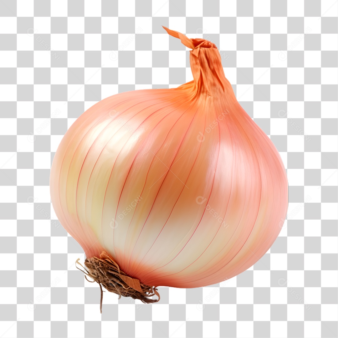 Cebola PNG Transparente