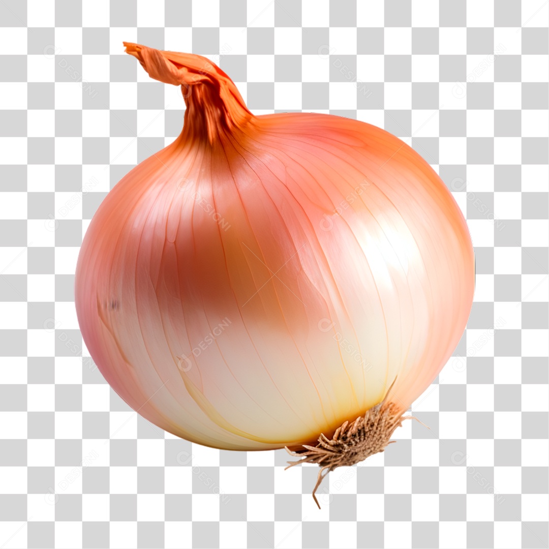 Cebola PNG Transparente