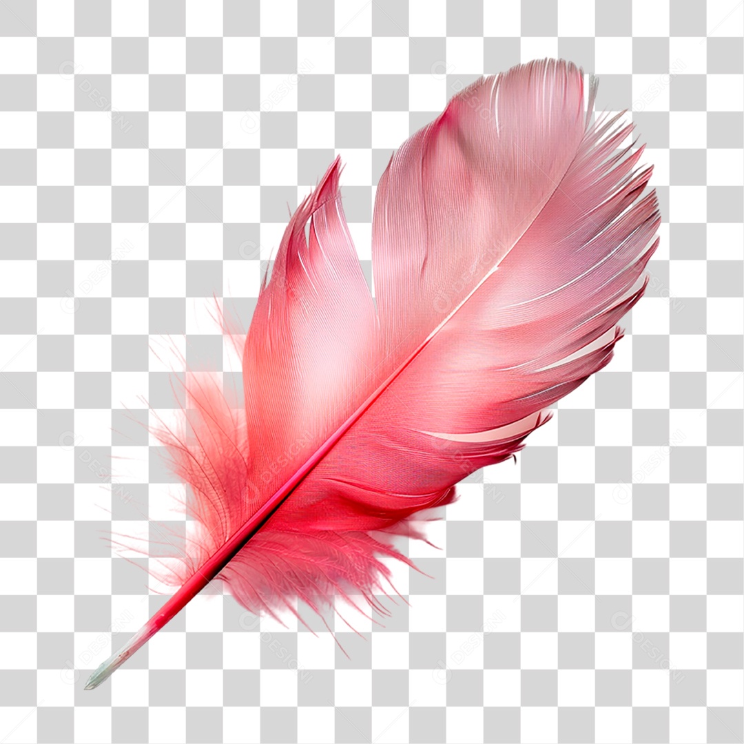 Pena Vermelha PNG Transparente