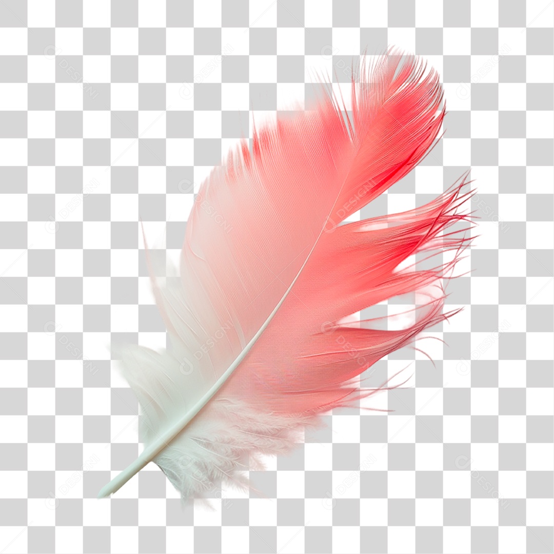 Pena de Ave PNG Transparente